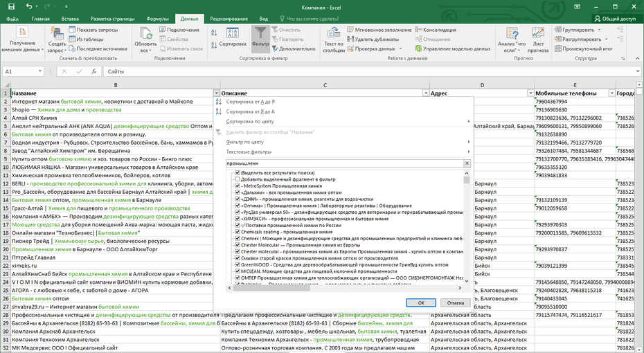 Окно фильтрации магазинов бытовой и профессиональной химии по колонке «Название» в Excel