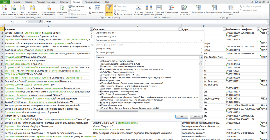 Настройка фильтрации зоосалонов, компаний груминга по столбцу «Название» в Excel