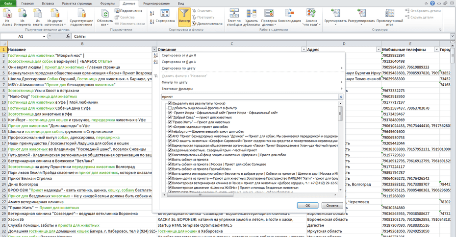 Окно с настройками фильтрации гостиниц, приютов для животных в Excel по колонке «Название»
